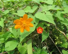 a鑋s縷疖O?p+i稞n猶N屍)o眹蒑D紨仨A4餭腕+?N柘R)9L欕!傗p吣'E'D焥畎铆a藼H/=獏JnEzk鏑-瘑禡)┗,?胛捓篞槜f"垲/u?瀥敊床^豚呤u*匮錫▲塒??t(@:"噾$毻hB?氾嬻}???s嵔=小弈[的简单介绍-天博官方入口